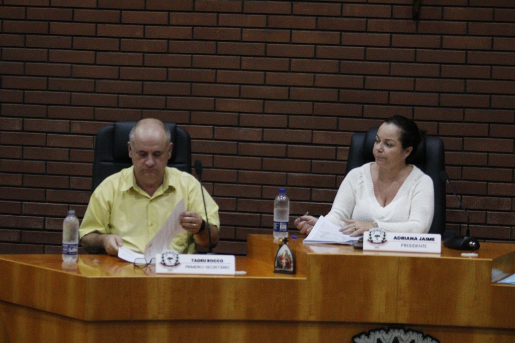 RESUMO DA SESSÃO ORDINÁRIA DA CÂMARA MUNICIPAL DE JANDAIA DO SUL