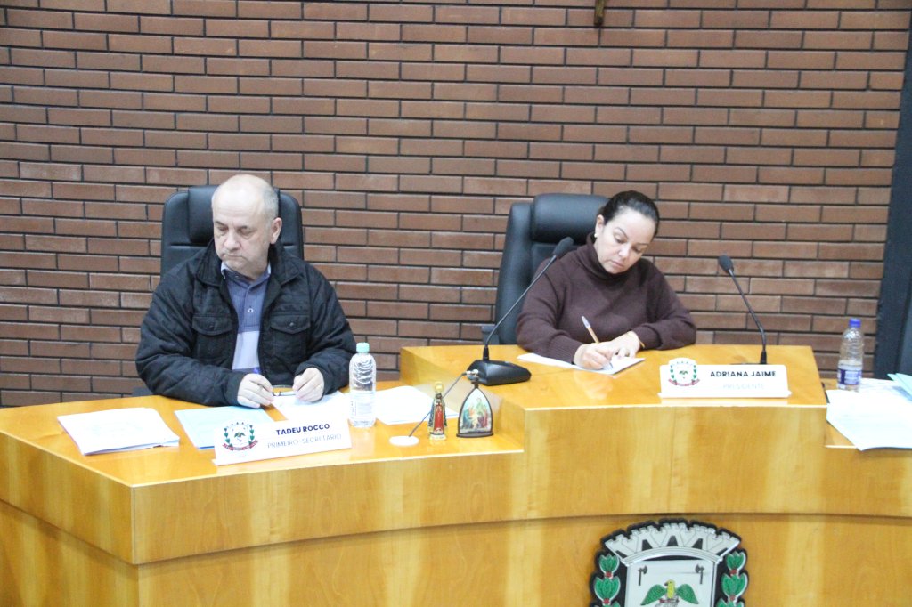 RESUMO DA SESSÃO ORDINÁRIA DA CÂMARA MUNICIPAL DE JANDAIA DO SUL
