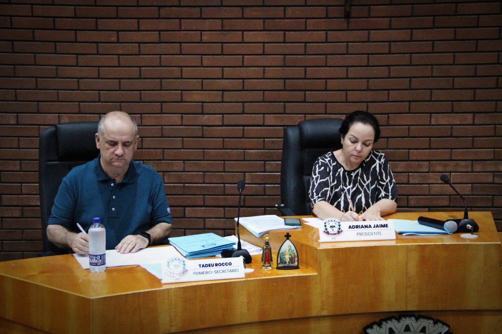 RESUMO DA SESSÃO ORDINÁRIA DA CÂMARA MUNICIPAL DE JANDAIA DO SUL