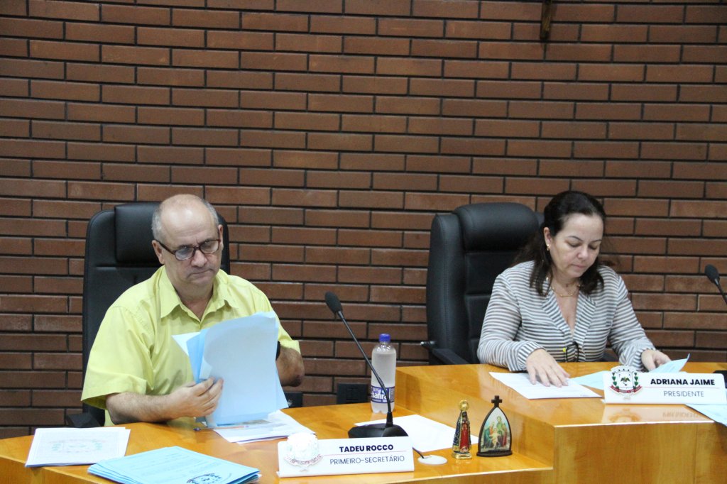 RESUMO DA SESSÃO ORDINÁRIA DA CÂMARA MUNICIPAL DE JANDAIA DO SUL