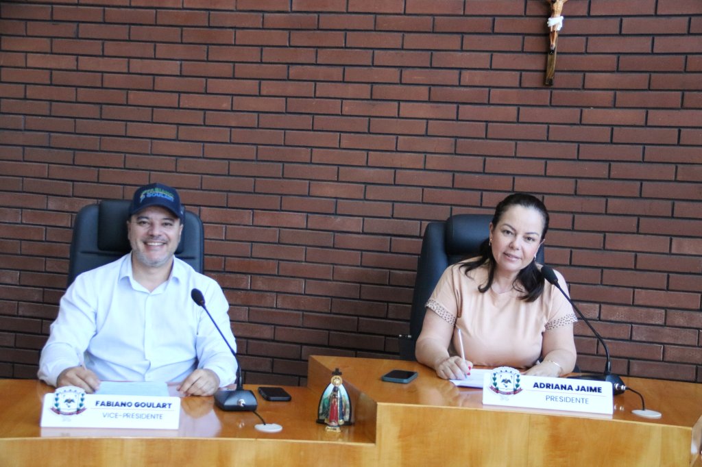 RESUMO DA SESSÃO ORDINÁRIA DA CÂMARA MUNICIPAL DE JANDAIA DO SUL